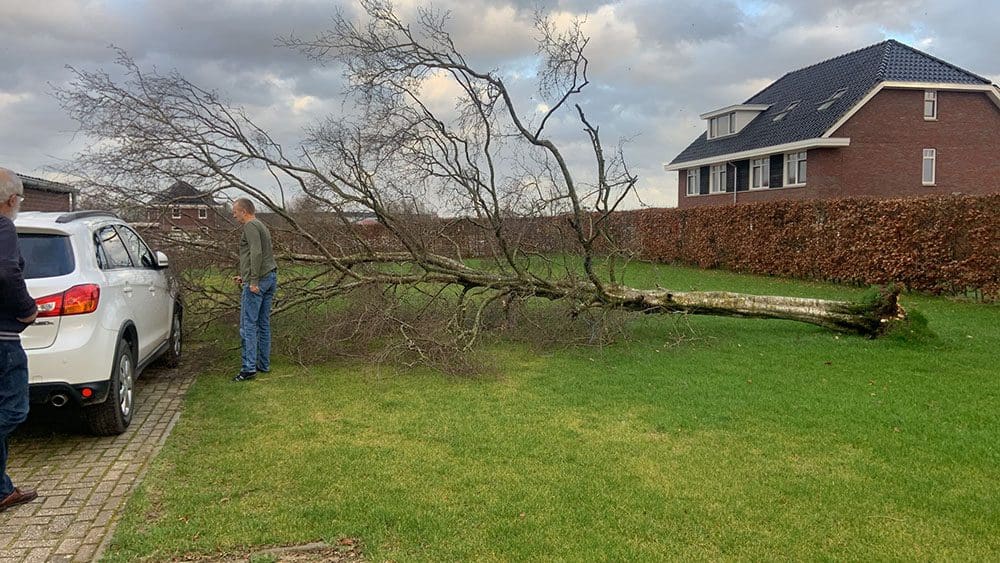 persoonlijke update