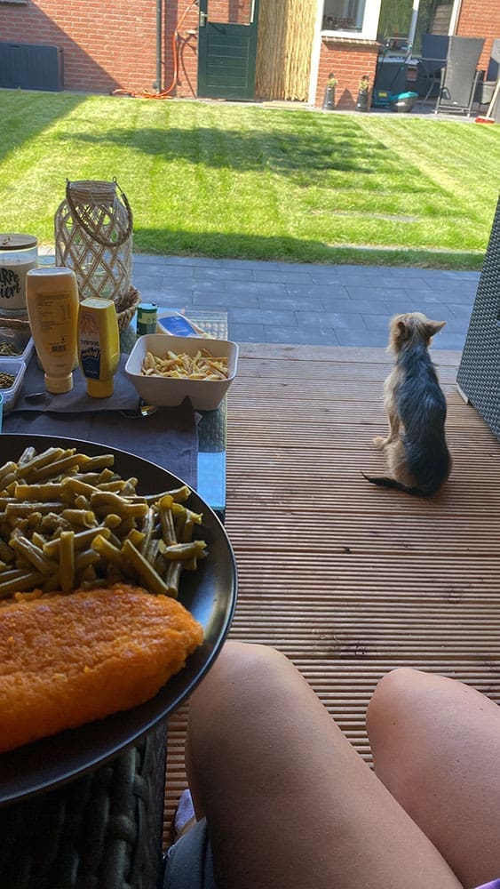 persoonlijke update