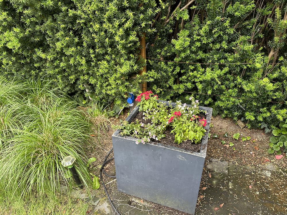 persoonlijke update