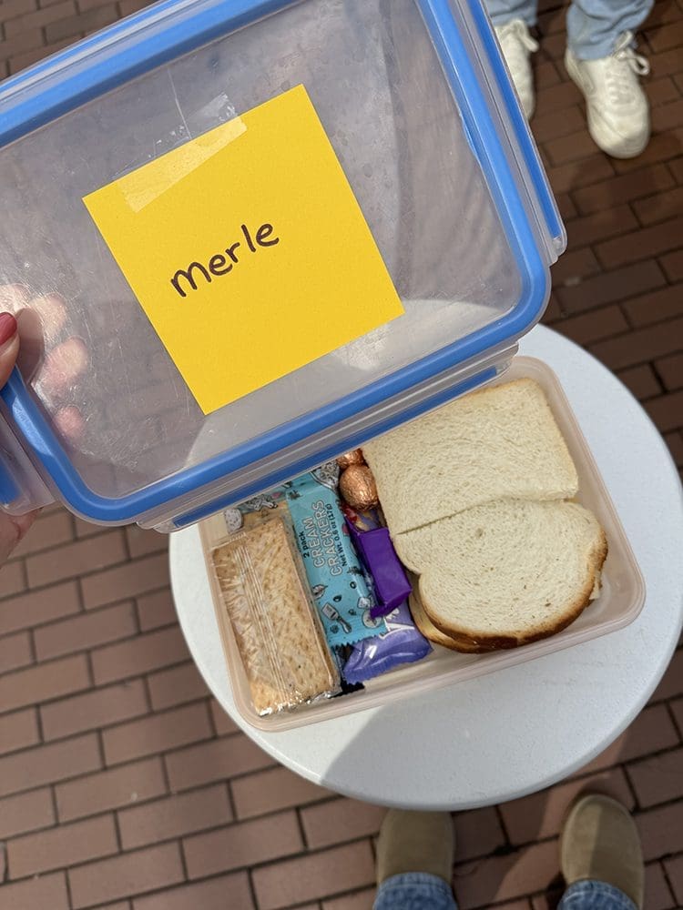 persoonlijke update