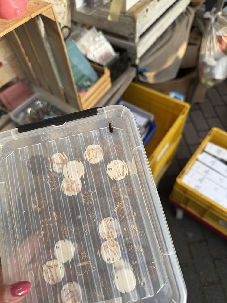 persoonlijke update