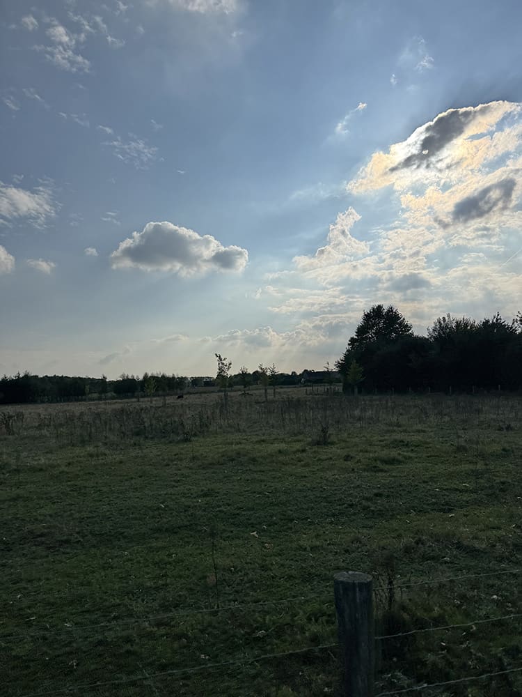 persoonlijke update
