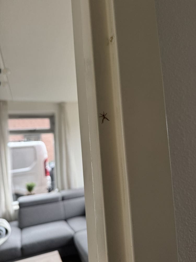 persoonlijke update