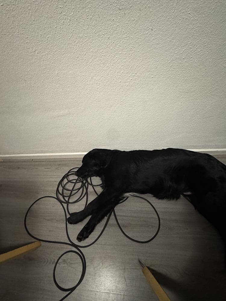 persoonlijke update