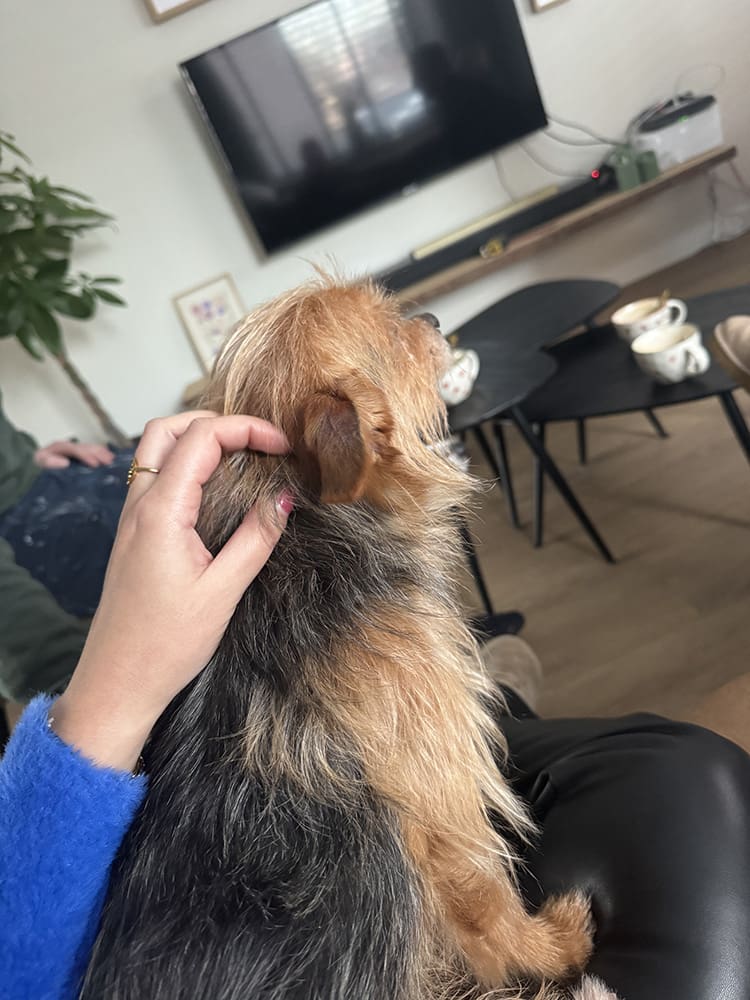persoonlijke update