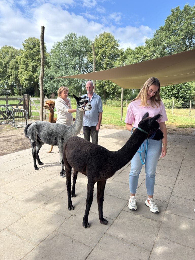 persoonlijke update