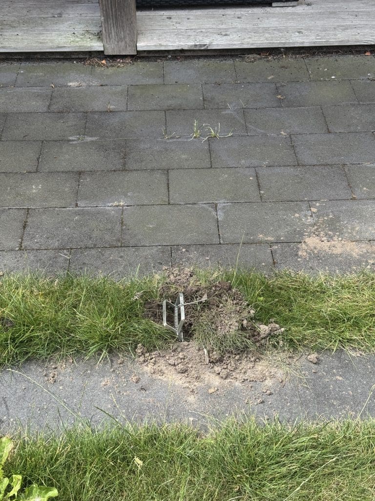 persoonlijke update