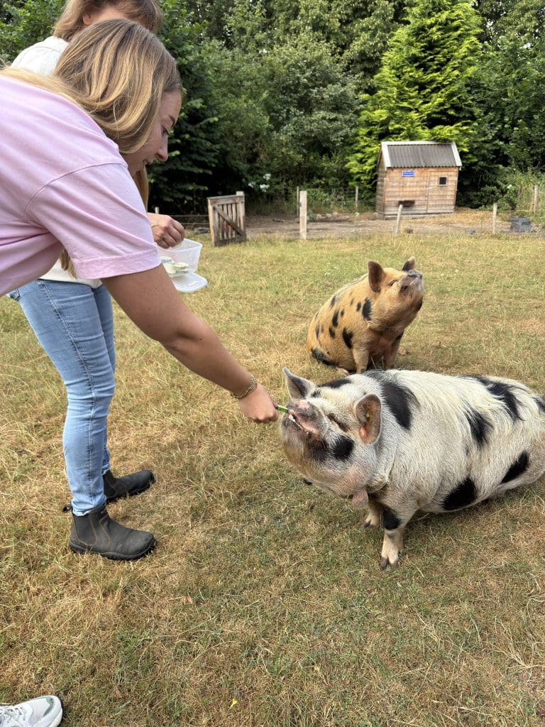 persoonlijke update