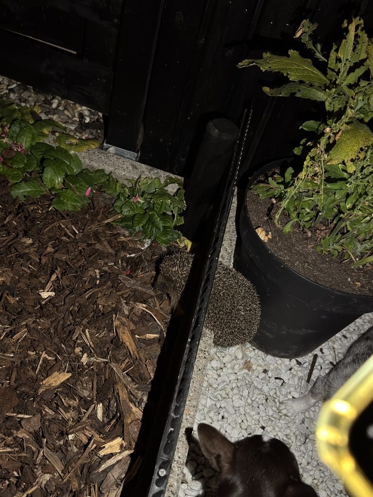 persoonlijke update